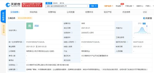 咨询策划服务 开启高效决策与卓越发展的金钥匙